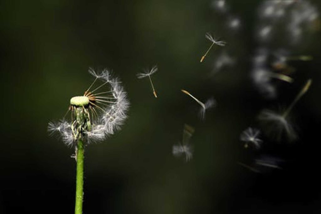 ademhaling versus angst of stress