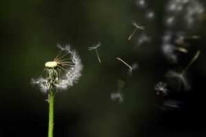 ademhaling versus angst of stress