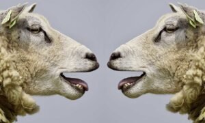 roddelen praten met collega's overleg communicatie