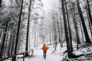 zelfreflectie in de winter