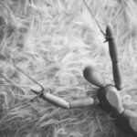 loslaten van controle