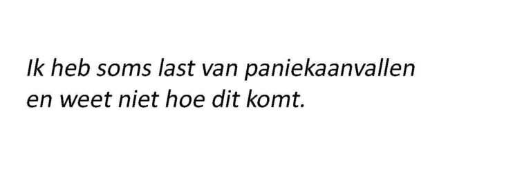 probleemstellingpaniekaanval_optimized.jpg