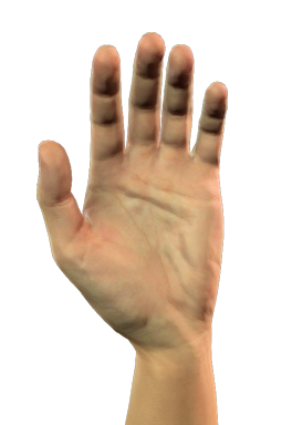 Drie-vinger-oefening