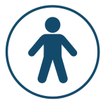 lichaam mannetje blok 1